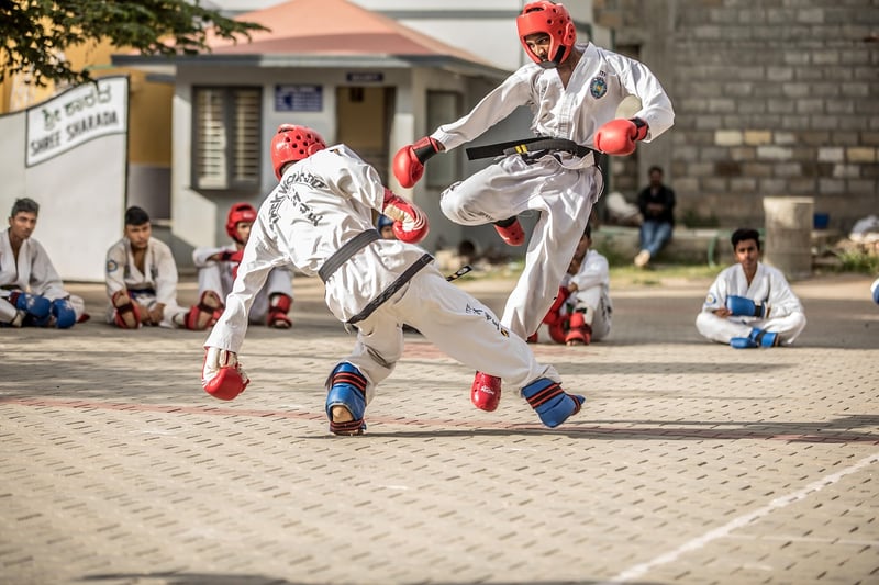 Taekwondo image